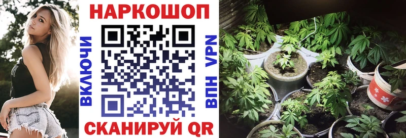 Купить наркотики Камышин APVP ГАШИШ МАРИХУАНА Кокаин
