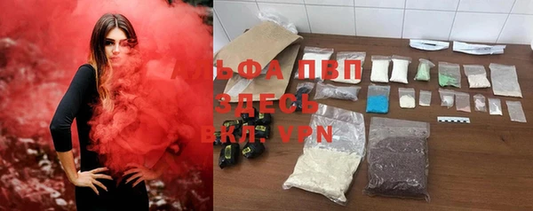 ECSTASY Алзамай