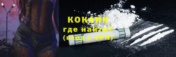 ECSTASY Алзамай