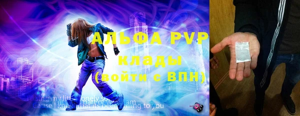 ECSTASY Алзамай
