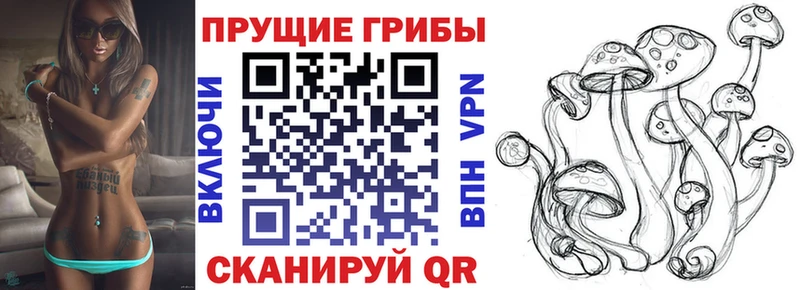 Галлюциногенные грибы мухоморы  гидра рабочий сайт  Камышин  купить наркотики сайты 