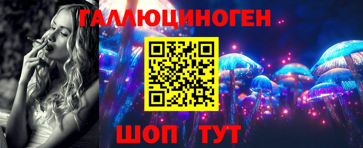 Галлюциногенные грибы Cubensis Камышин